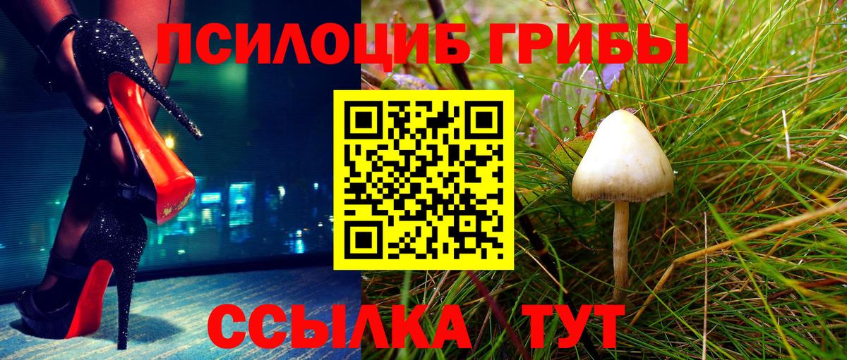 Псилоцибиновые грибы Psilocybe  Вход с VPN  Чехов 
