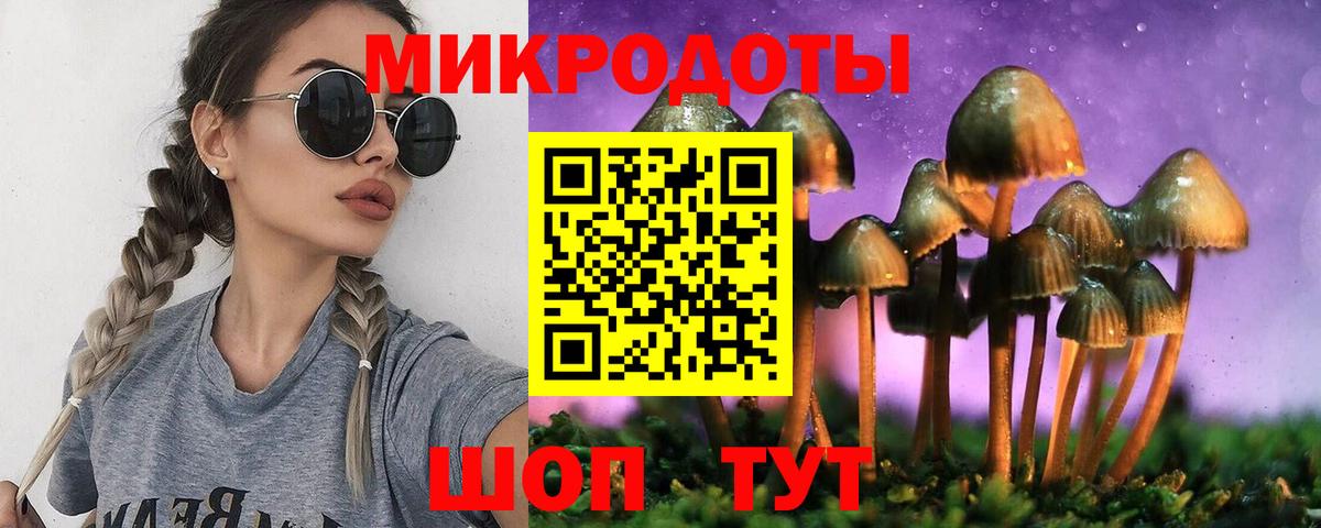 Галлюциногенные грибы Psilocybine cubensis Чехов